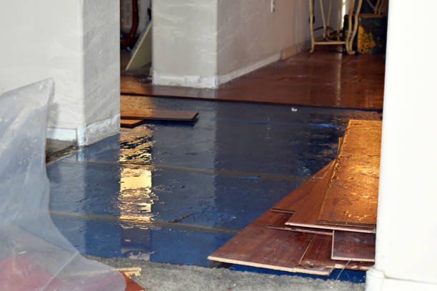 Professional Sewage Cleanup technician working in Little Falls, MN